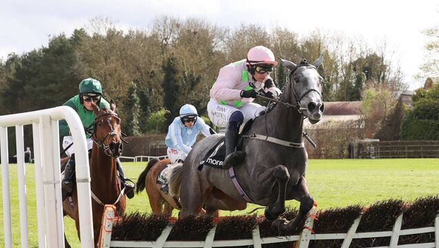 <p>Lossiemouth runs in the Morgiana Hurdle at Punchestown today Photo: ©INPHO/Caroline Norris</p>