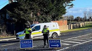 Football statistics predictor gives Ireland 8% chance of World Cup qualification