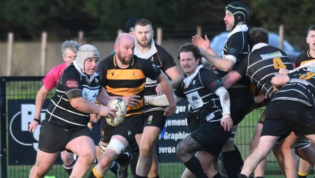 Bonus point win for Carlow over dogged Kilkenny in local derby