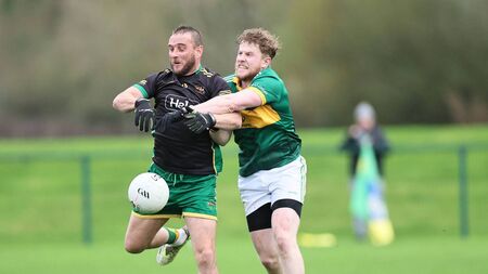 Fighting Cocks set for Leinster Semi-Final this weekend