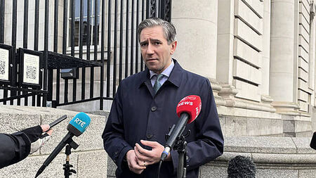 Government has ‘no intention of becoming a landlord’, says Tánaiste