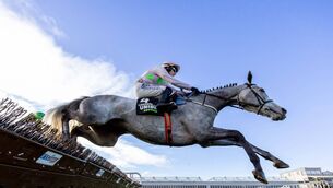 <p>Paul Townend on Lossiemouth wins The Unibet Morgiana Hurdle (Grade 1) at Punchestown last Saturday Photo: ©INPHO/Morgan Treacy</p>