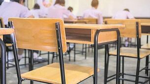 Senator on board Gaza-bound aid flotilla ‘detained by Israel’ – Sinn Féin