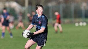 <p>Aaron Dowling scored nine points for Tullow CS </p>