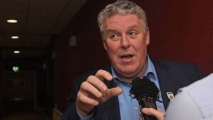 Irish MEPs back GAA leadership on rural depopulation and call for national policy reform