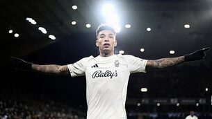 Andy Farrell excited to see Caelan Doris lead Ireland in Italy Six Nations clash