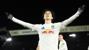 Dan Sheehan motivated from European heartbreak ahead of Harlequins clash Dan Sheehan motivated from European heartbreak ahead of Harlequins clash