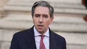 Jack Russell dog rescued from Lough Ree this morning Jack Russell dog rescued from Lough Ree this morning