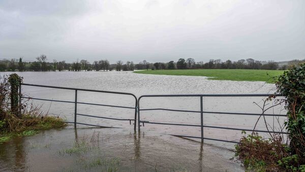 Two Status Yellow Weather Warnings announced for Carlow