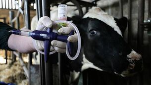 The Irish business aiming to transform the rental sector for tenants and landlords