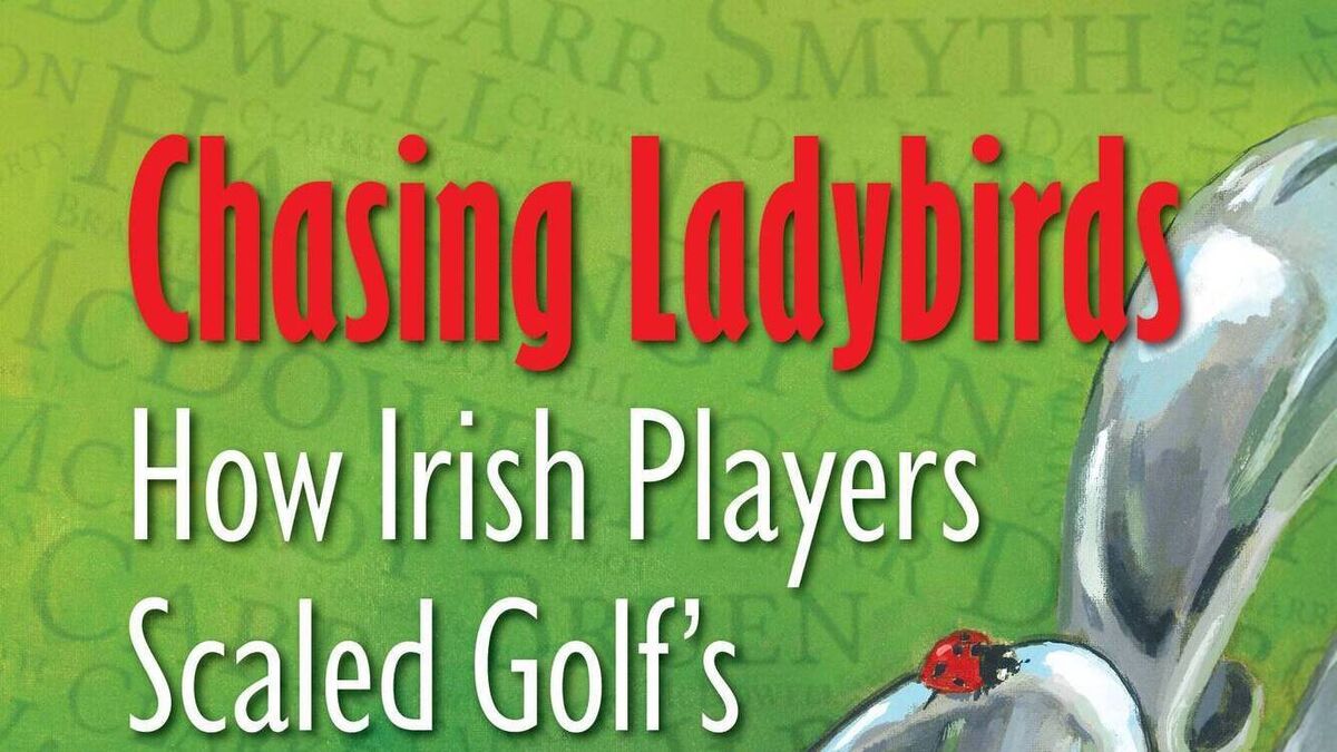 Chasing Ladybirds - A Review