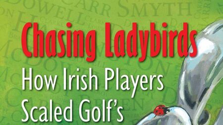 Chasing Ladybirds - A Review