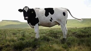 Man who sold 81 'dodgy boxes' given suspended sentence