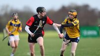 Bagenalstown stride impressively into South Leinster semi-final