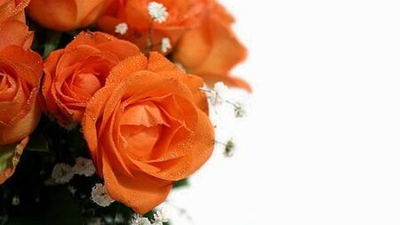 'Regrettable' that policy on removing roadside memorials emerges near Christmas, TD says