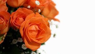 Irish woman (21) dies while rock climbing near Malaga, Spain Irish woman (21) dies while rock climbing near Malaga, Spain