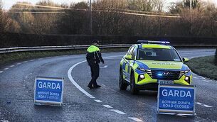 Man (20s) dies in single-vehicle collision in Co Waterford