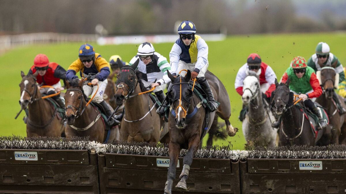Shark Hanlon lights up a miserable Navan with a shock 40/1 winner
