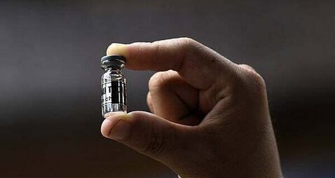 Shark jaw and 15 vials of bear bile seized by Revenue at Shannon Airport and Dublin postal hub