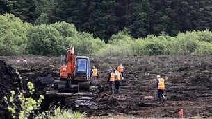 Donohoe supports Permanent TSB's decision to put itself up for sale Donohoe supports Permanent TSB's decision to put itself up for sale
