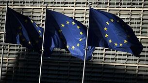 UK government urged to go further than Windsor Framework review recommendations