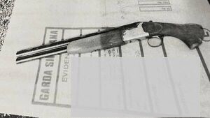 Limerick brothers jailed for 14 years for gun attack on family’s home