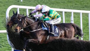 <p>Fact To File (near side) and Gaelic Warrior (far side) are set to meet against in the King George Photo: ©INPHO/Caroline Norris</p> <p>Fact To File (near side) and Gaelic Warrior (far side) are set to meet against in the King George Photo: ©INPHO/Caroline Norris</p>