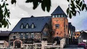 Woke up in bed beside defibrillator he’d stolen from hotel in Carlow 