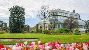 Thief caught with stolen property from burglary in stolen pizza delivery driver's car jailed