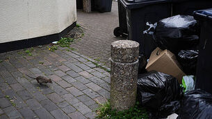 Fianna Fáil TD Seán Haughey will not contest next General Election