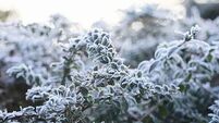 Met Éireann forecasts frost, ice, and winter sunshine over Christmas period