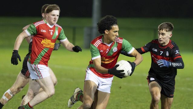 <p>Palatine's Marc Mulhall on the ball during the semi-final win over Mount Leinster Photo: Aisling Hyland</p>