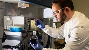 Pelosi warns ‘democracy at stake’ during visit to Ireland