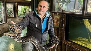 Reptile expert warns over ‘surprising’ lack of regulation on exotic pets