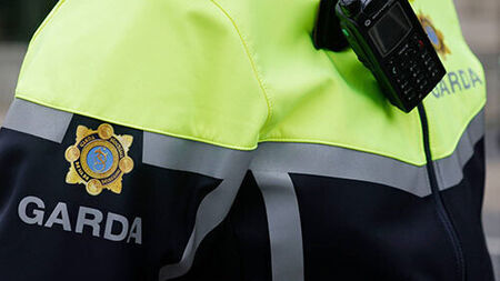 Woman airlifted to hospital following dog attack in Carlow Town