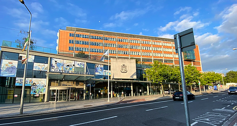 Woman (50s) airlifted to hospital following incident with pit bull terrier