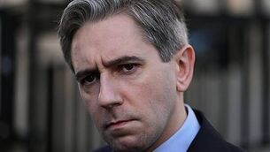 New Year's festival continues in Dublin