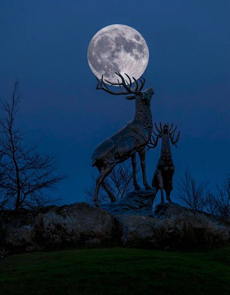 December: The rising moon over the Deerpark roundabout in Carlow December: The rising moon over the Deerpark roundabout in Carlow