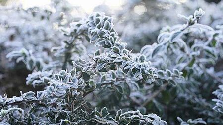Met Éireann warns of severe frost into the New Year