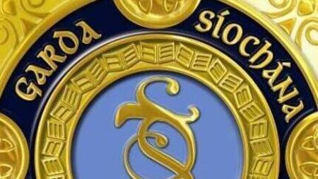 Woman remains in serious condition in hospital following pit bull attack in Carlow town