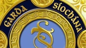 Woman remains in serious condition in hospital following pit bull attack in Carlow town