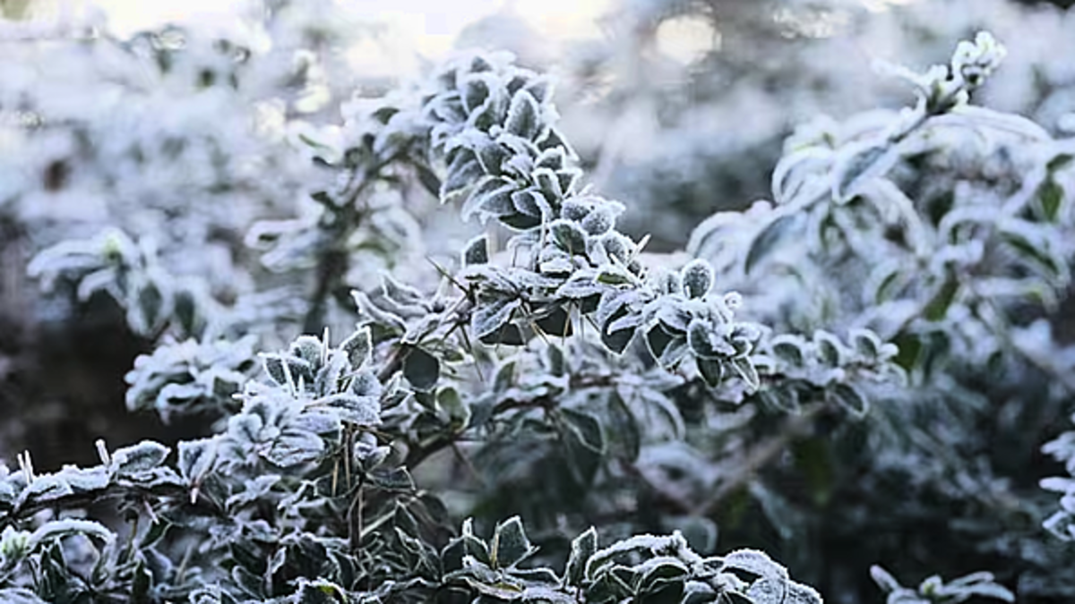 Whole country under weather warning as wintry conditions sweep in