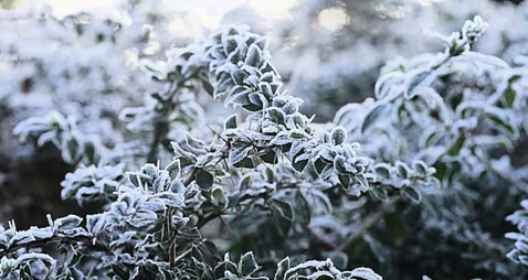 Whole country under weather warning as wintry conditions sweep in