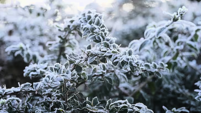 Cold spell to hit the country this weekend