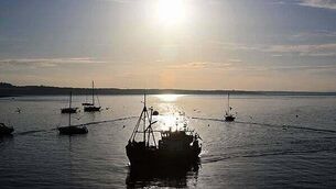 Body of cyclist discovered in Co Roscommon