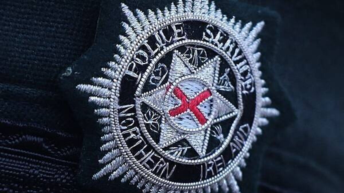 Man arrested after traffic attendant and police assaulted in Co Down