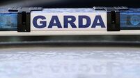 Four men arrested by gardaí investigating criminal damage at homes in Mayo