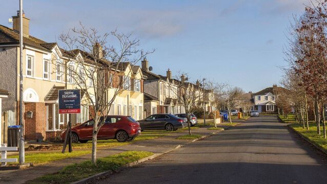 <p>Ashfield estate in Carlow, where the dog attack took place Photo: Michael O'Rourke Photography</p>