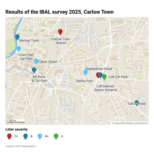Carlow came 35th out of 40 towns and cities in the survey. Created by Laoise Murray.