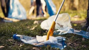 Carlow slips down litter league again